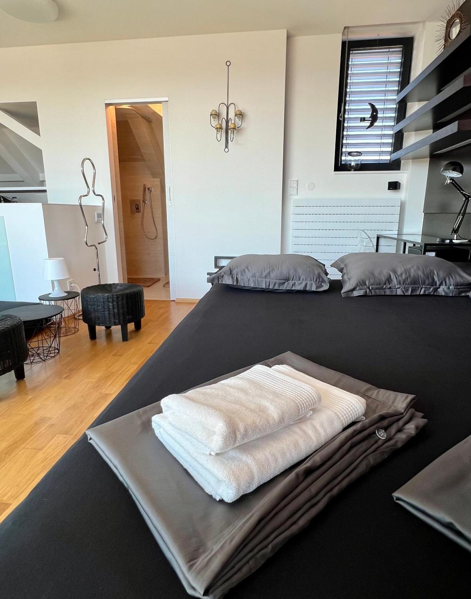 Apartman Se Saunou A Terasou S Vyhledem Na Brno Extérieur photo